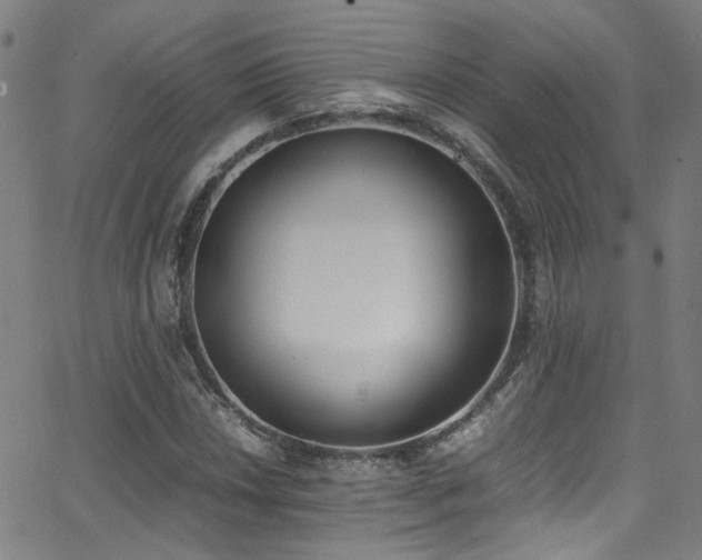 X0000062871018200601131436