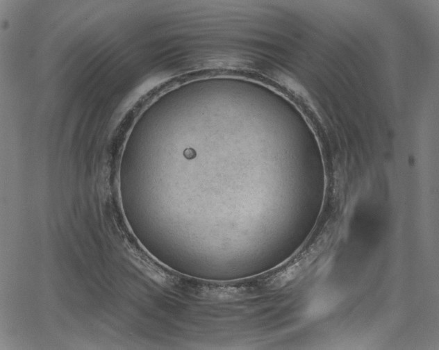 X0000062871019200601131436