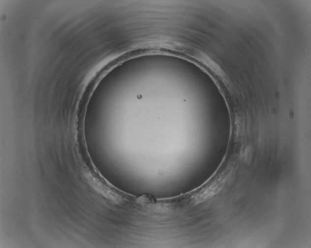 X0000062871020200601131436