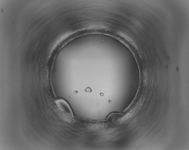 X0000062871021200601131436