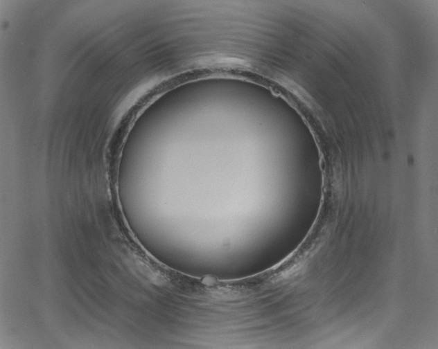 X0000062871022200601131436