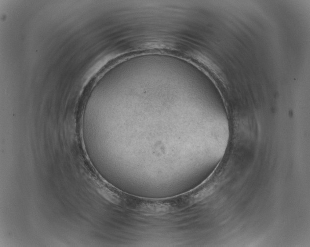 X0000062871023200601131436