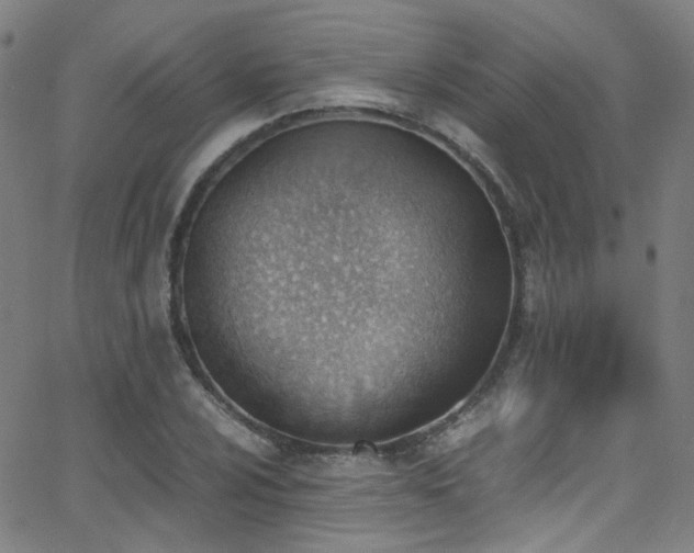 X0000062871024200601131436