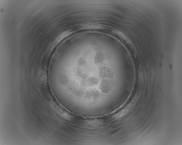 X0000062871025200601131436