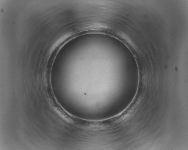 X0000062871026200601131436