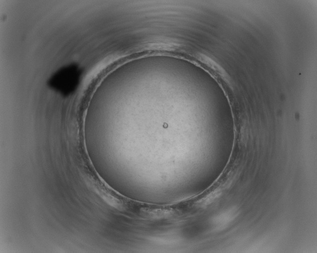 X0000062871027200601131436