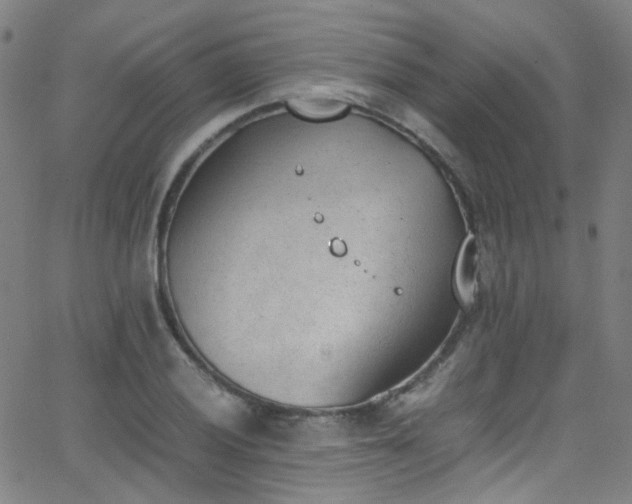 X0000062871028200601131436