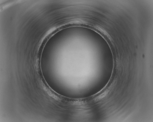 X0000062871029200601131436