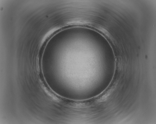 X0000062871030200601131436