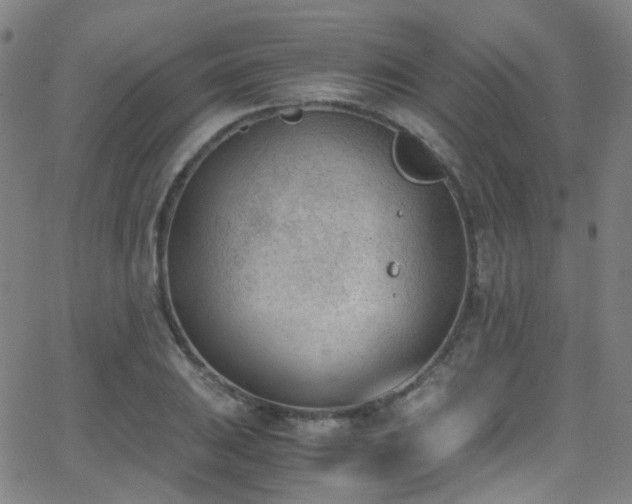 X0000062871031200601131436