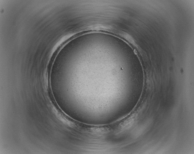 X0000062871032200601131436