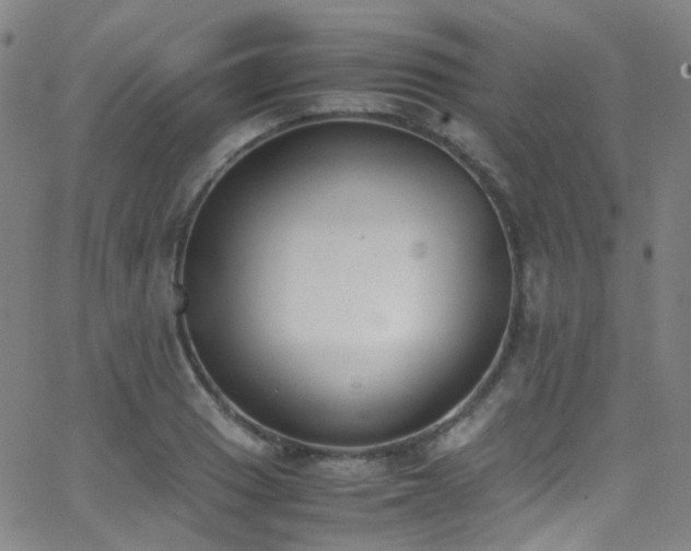 X0000062871033200601131436