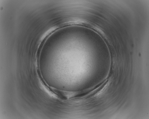 X0000062871034200601131436