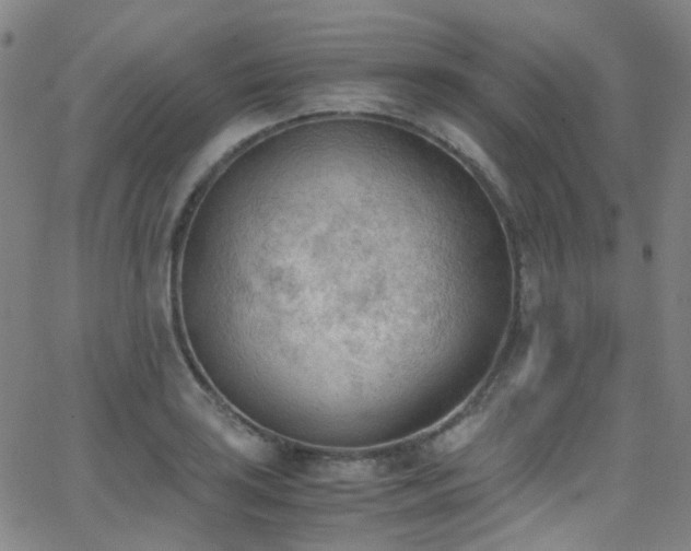 X0000062871035200601131436