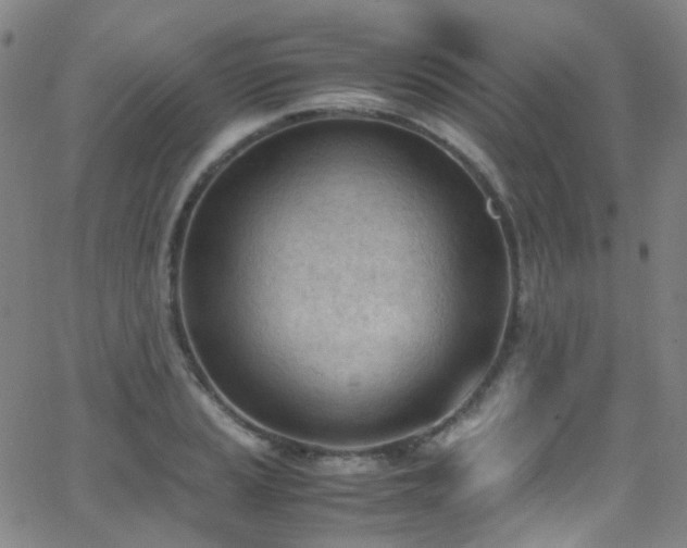 X0000062871037200601131436