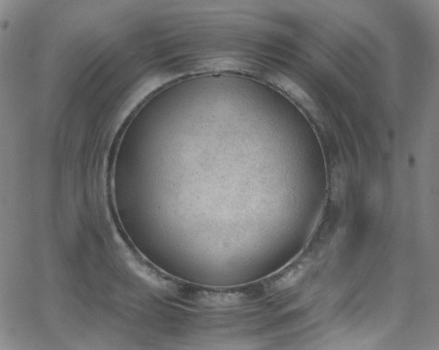 X0000062871039200601131436