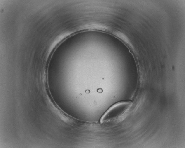 X0000062871040200601131436