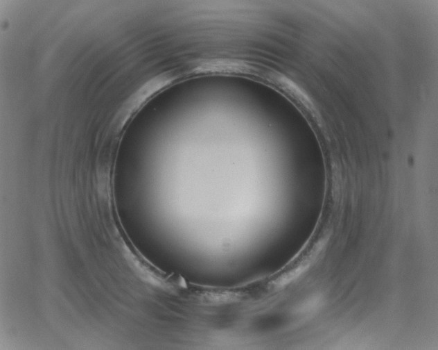 X0000062871041200601131436