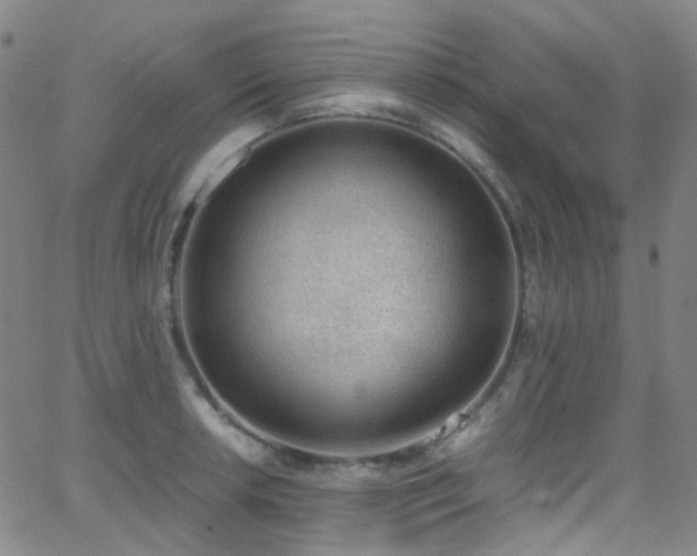 X0000062871042200601131436