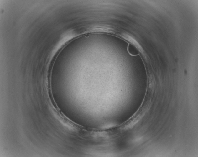 X0000062871043200601131436