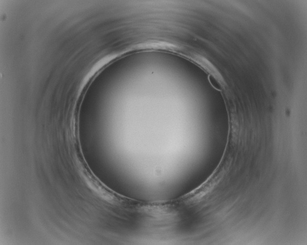 X0000062871044200601131436