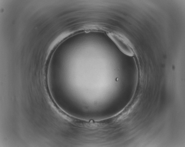 X0000062871045200601131436