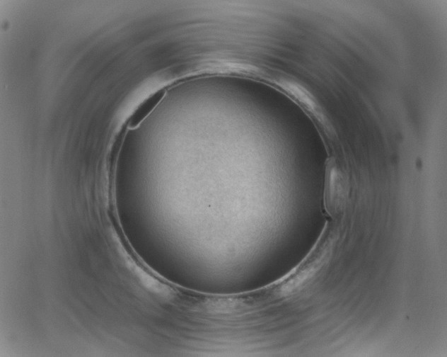 X0000062871046200601131436