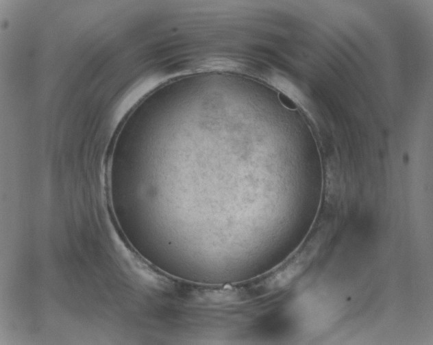 X0000062871047200601131436