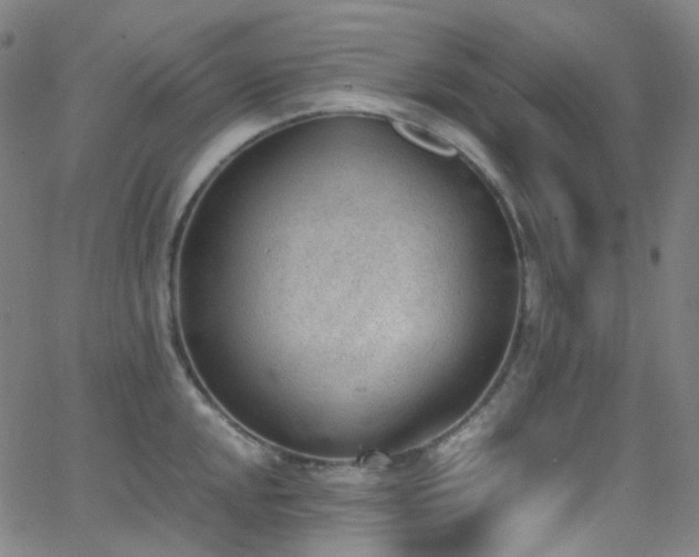 X0000062871048200601131436