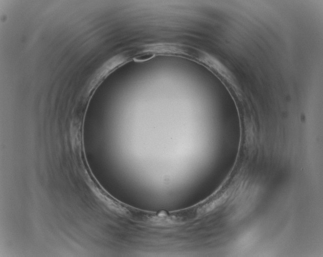 X0000062871049200601131436