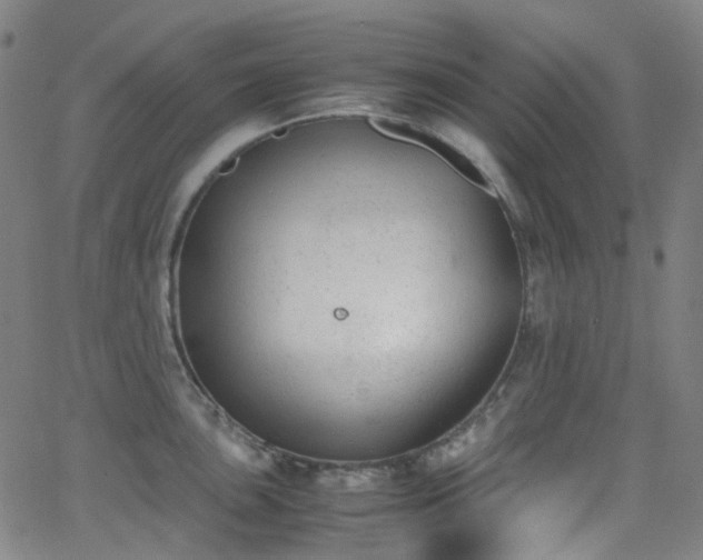 X0000062871051200601131436