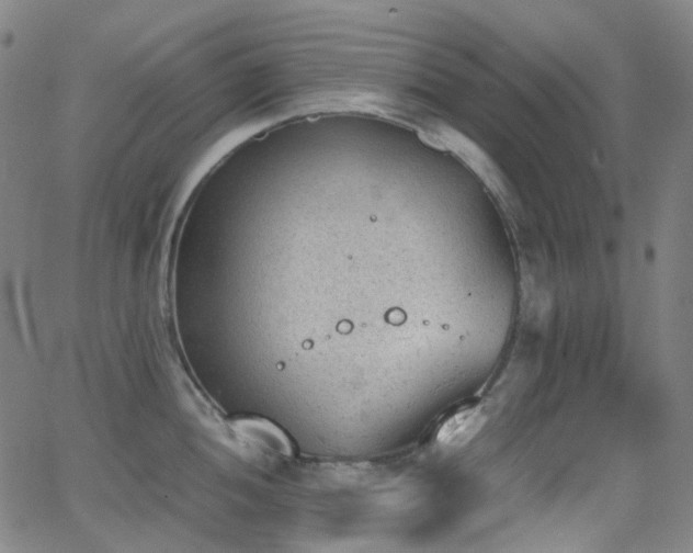 X0000062871052200601131436