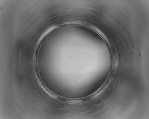 X0000062871053200601131436