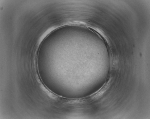 X0000062871054200601131436