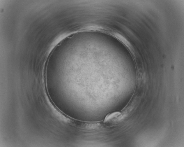 X0000062871055200601131436