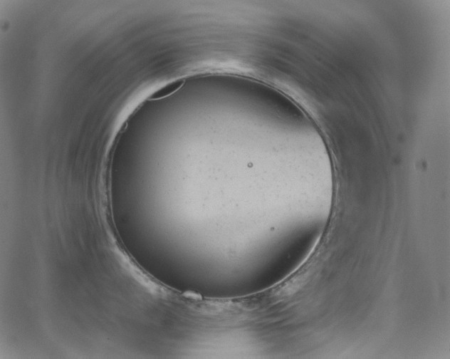 X0000062871056200601131436