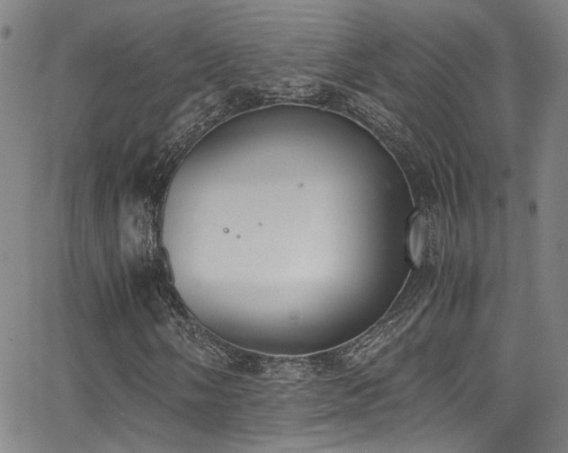 X0000062871058200601131435