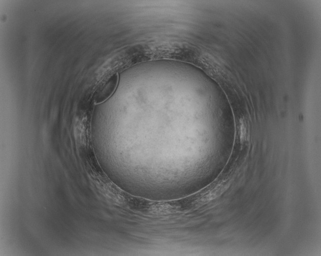 X0000062871059200601131435