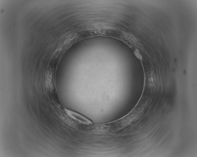 X0000062871060200601131435