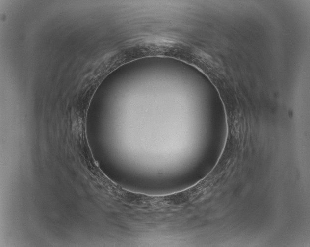 X0000062871061200601131435