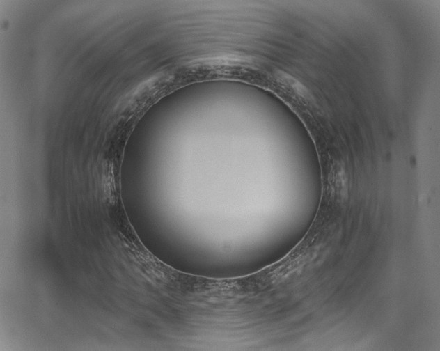 X0000062871062200601131435