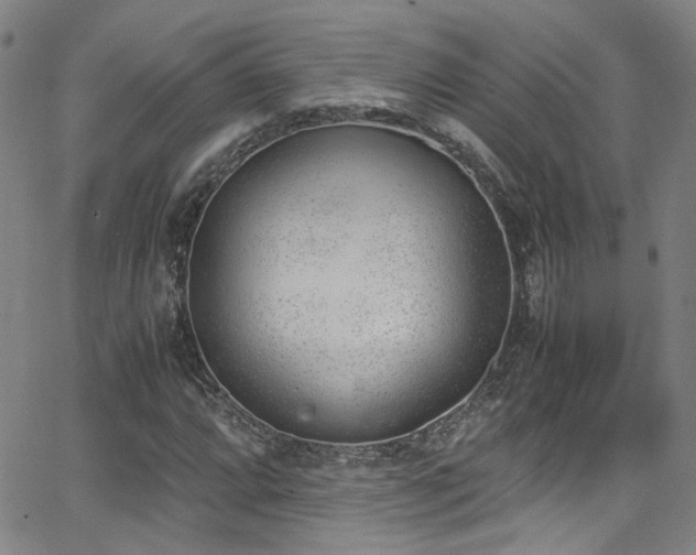 X0000062871064200601131435