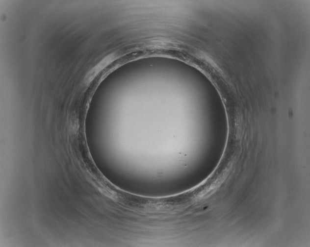 X0000062871065200601131435