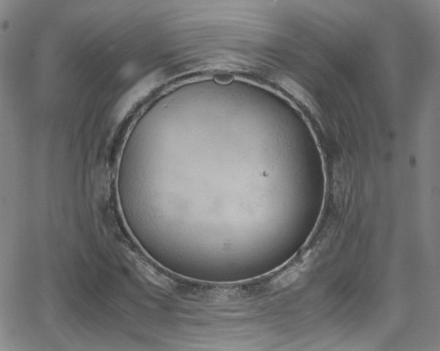 X0000062871067200601131435