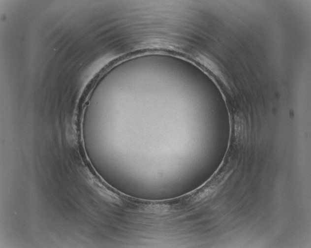 X0000062871068200601131435