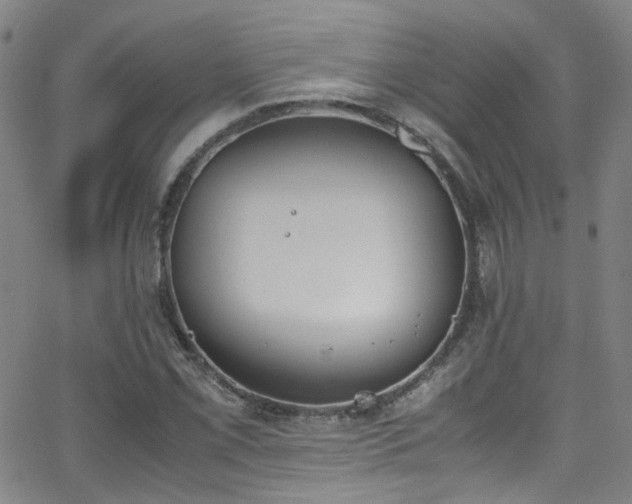 X0000062871069200601131435