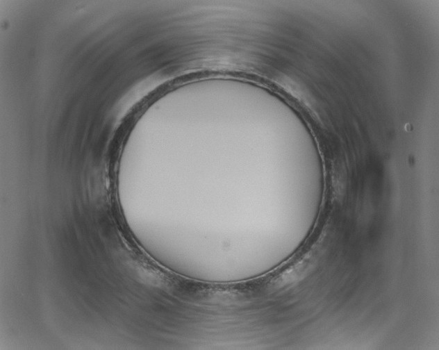 X0000062871070200601131435