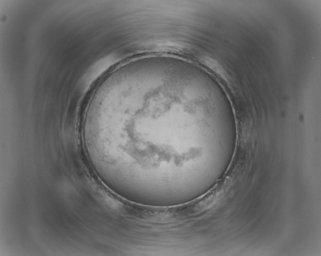 X0000062871071200601131435