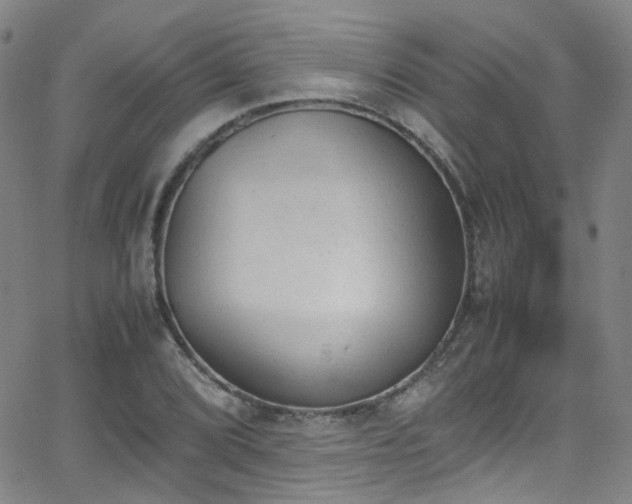 X0000062871072200601131435