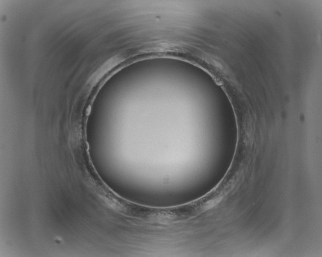 X0000062871073200601131435